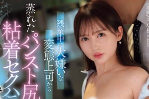 动物交配视频全过程[MP4]电影海报