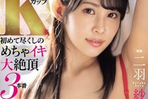 关于母鸡的动漫[全集]电影海报