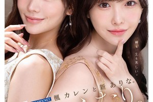 默守那份情剧情[免费]电影海报