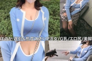 双面女间谍第一季在线观看[完整版]电影海报